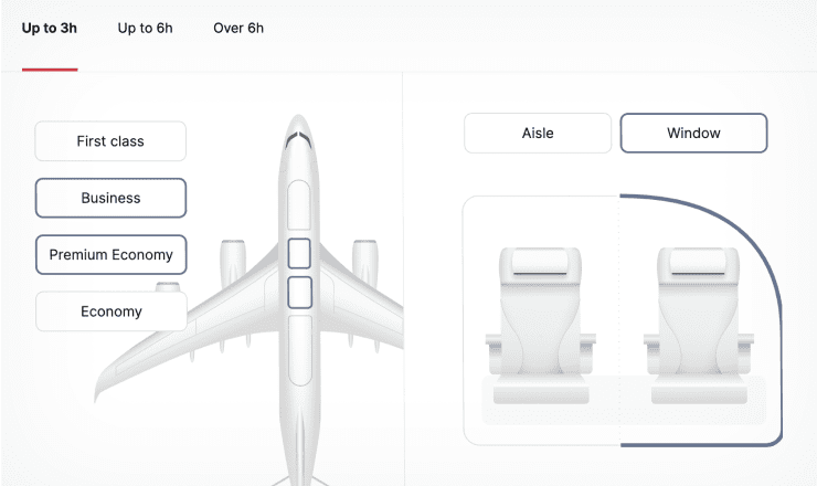choosing airplane economy level and choosing between aisle or window seat