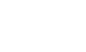 Blank logo